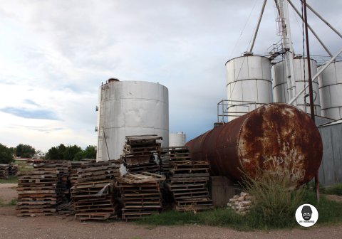 37334215_10155684448768994_6714112337051123712_o