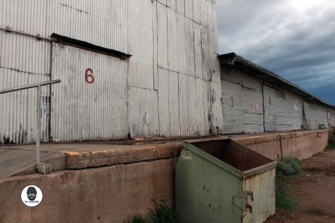 37353507_10155684448873994_96466146584166400_o